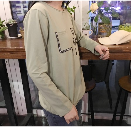 レディース　カットソー　刺繍　長袖　ロングTシャツ　ロンT　ラウンドネック　ベーシック　トップス　カジュアル　キュート　大人　可愛い　フェミニン　おしゃれ　お出かけ　デイリー　ピンク　グリーン　パープル　ブラック　　フリーサイズ　ワンサイズ　送料無料