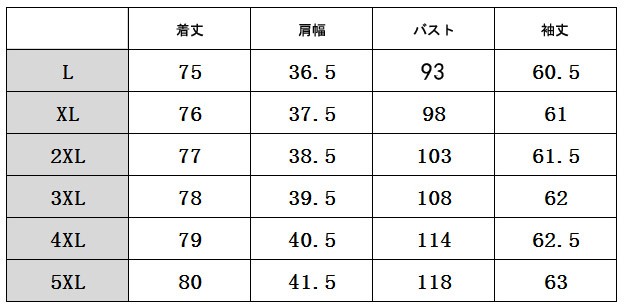 レディース　カットソー　Tシャツ　Uネック　長袖　ロング丈　トップス　カジュアル　キュート　大人　可愛い　フェミニン　おしゃれ　お出かけ　デイリー　グレー　灰色　Ｌ　XL　2XL　3XL　4XL　5XL　大きいサイズ　送料無料