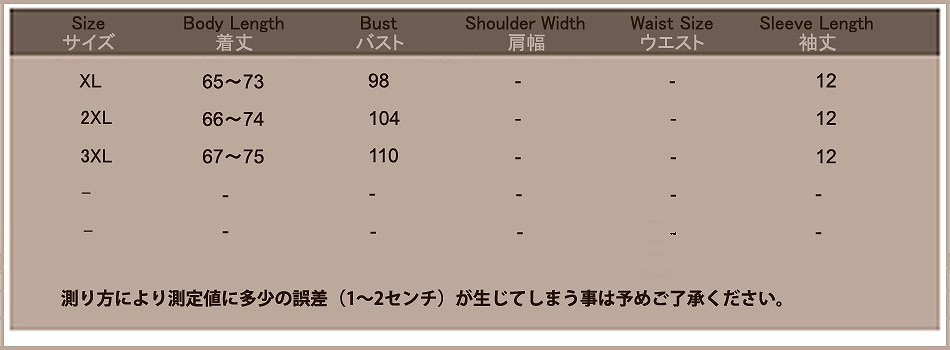 レディース　ファッション　トップス　エンジェルスリーブ　ラウンドネック　レース　涼し気　シフォンシャツ　夏　デート　旅行　買い物　外出　普段着　かわいい　キュート　ホワイト　ブラック　送料無料