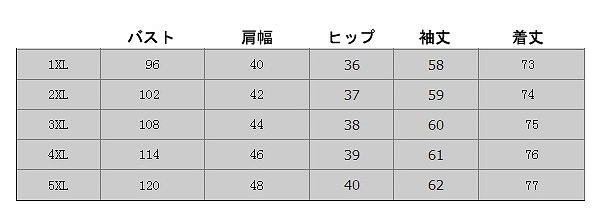 レディース　チュニックワンピース　膝上丈　バイカラー　長袖　無地　大きいサイズ　プルオーバー　大人カジュアル　可愛い　普段着　シック　フェミニン　リゾート　デート　ブラック　ベージュ　送料無料