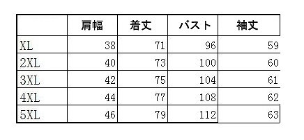 レディース　トップス　ロング　カットソー　ロンT　チュニック　ヒョウ柄　無地　ラウンドネック　長袖　大きいサイズ　ゆったり　大人カジュアル　パンク　ロック　普段着　おしゃれ　デート　リゾート　グレー　ブラック　送料無料