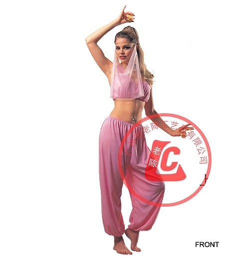 レディース　ハロウィン　コスチューム　アラビアンナイト　ダンサー　踊り子　ベリーダンス　インド　アラジン　千夜一夜物語　フリーサイズ　本格派　リアルデザイン　公演　演劇　お化け　ハロウィン　コスプレ　衣装　イベント　パーティ　仮装　ピンク　送料無料