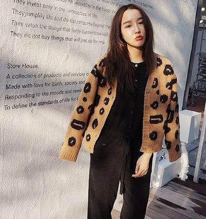 レディース　トップス　ヒョウ柄　Vネック　ニット　カーディガン　レオパード　ショート丈　長袖　カジュアル　フリーサイズ　大人可愛い　フェミニン　デート　お出かけ　デイリー　普段着　ブラウン　送料無料