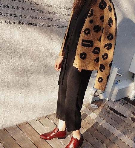 レディース　トップス　ヒョウ柄　Vネック　ニット　カーディガン　レオパード　ショート丈　長袖　カジュアル　フリーサイズ　大人可愛い　フェミニン　デート　お出かけ　デイリー　普段着　ブラウン　送料無料