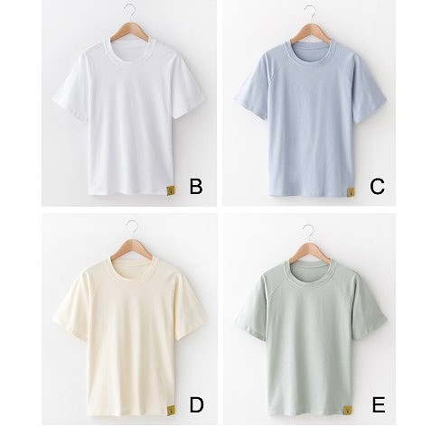 レディース　半袖　ラグランTシャツ　ラウンドネック　トップス　人気　春　夏物　女性　大人　カジュアル　キュート　可愛い　フェミニン　おしゃれ　ファッション　グリーン　オレンジ　イエロー　フリーサイズ　ワンサイズ　送料無料