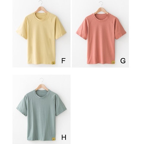 レディース　半袖　ラグランTシャツ　ラウンドネック　トップス　人気　春　夏物　女性　大人　カジュアル　キュート　可愛い　フェミニン　おしゃれ　ファッション　グリーン　オレンジ　イエロー　フリーサイズ　ワンサイズ　送料無料