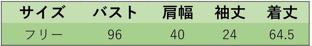 レディース　トップス　Tシャツ　半袖　綿　コットン　シンプル　肖像画　写真　女性　プリント　ゆったり　おしゃれ　カジュアル　大人可愛い　フェミニン　デート　お出かけ　普段着　ホワイト　　フリーサイズ　送料無料