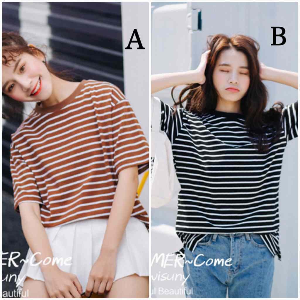 レディース　トップス　Tシャツ　半袖　ボーダー　綿　コットン　シンプル　ゆったり　おしゃれ　カジュアル　大人可愛い　フェミニン　デート　お出かけ　普段着　ブラック　黒　ブラウン　フリーサイズ　送料無料