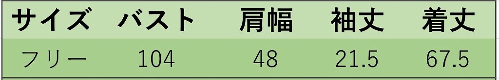 レディース　トップス　Tシャツ　半袖　ボーダー　綿　コットン　シンプル　ゆったり　おしゃれ　カジュアル　大人可愛い　フェミニン　デート　お出かけ　普段着　ブラック　黒　ブラウン　フリーサイズ　送料無料