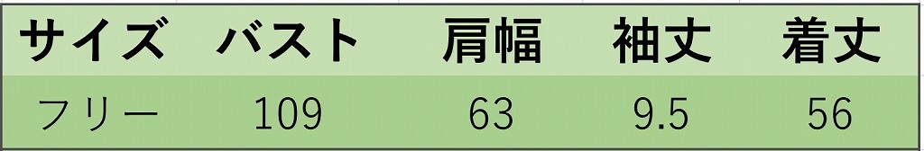 レディース　トップス　Tシャツ　半袖　無地　Ｖネック　綿100％　コットン　ライン　シンプル　スリット　ゆったり　おしゃれ　カジュアル　大人可愛い　フェミニン　デート　お出かけ　普段着　ホワイト　白　送料無料