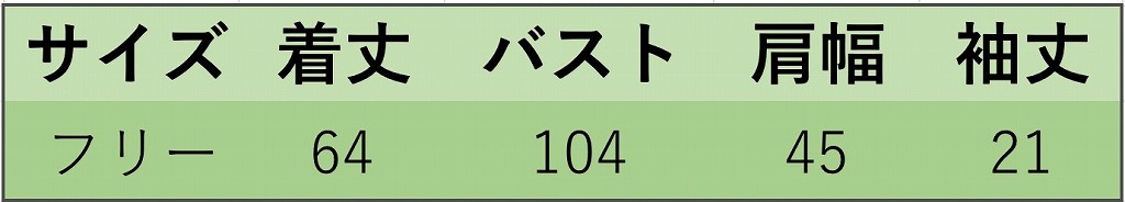 レディース　トップス　Tシャツ　半袖　Vネック　無地　綿　コットン　シンプル　フリーサイズ　ゆったり　おしゃれ　カジュアル　大人可愛い　フェミニン　デート　お出かけ　通勤　普段着　ホワイト　白　ピンク　ライトブルー　送料無料