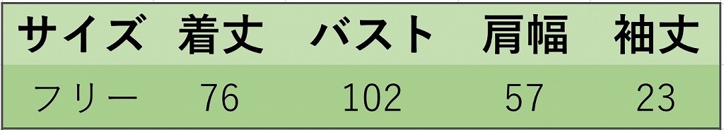 レディース　ワンピース　トップス　Tシャツ　ワンピ　半袖　綿　コットン　ダメージ　破れ　シンプル　英字　プリント　大きいサイズ　ゆったり　おしゃれ　カジュアル　大人可愛い　フェミニン　デート　お出かけ　普段着　ホワイト　ブルー　送料無料