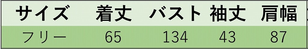 レディース　オーバーサイズ　ビッグシルエット　ロングTシャツ　長袖　秋　トップス　カジュアル　キュート　大人　可愛い　フェミニン　おしゃれ　お出かけ　デイリー　ホワイト　パープル　グリーン　ネイビー　白　灰色　紺　紫　緑　フリーサイズ　ワンサイズ　送料無料