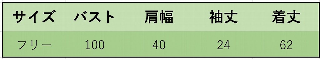 レディース　刺繍　バラ　薔薇　Tシャツ　半袖　クルーネック　ショートスリーブ　トップス　春　夏　女性　大人　カジュアル　キュート　可愛い　おしゃれ　ファッション　ブラック　ホワイト　フリーサイズ　ワンサイズ　送料無料