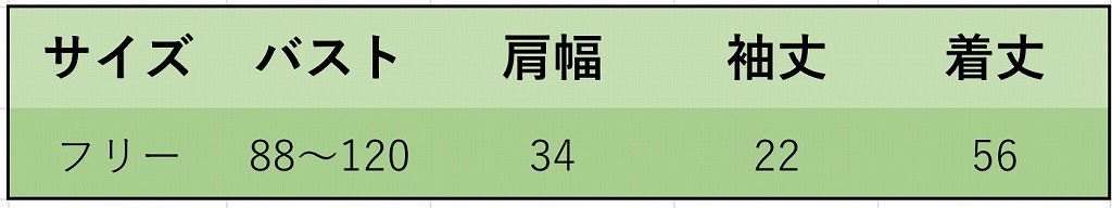 レディース　刺繍　Tシャツ　半袖　ラウンドネック　クルーネック　ショートスリーブ　トップス　春　夏　女性　大人　カジュアル　キュート　可愛い　おしゃれ　ファッション　ブラック　ホワイト　フリーサイズ　ワンサイズ　送料無料