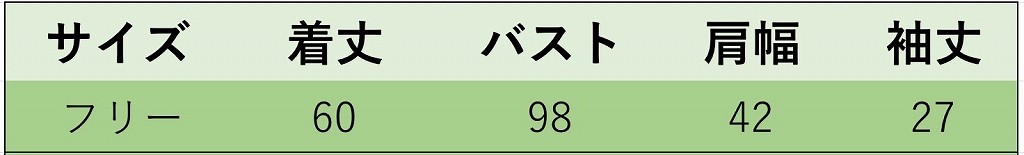 レディース　トップス　Tシャツ　カットソー　ラウンドネック　半袖　ベルベット　シンプル　ゆったり　エレガント　セクシー　カジュアル　大人可愛い　フェミニン　おしゃれ　普段着　ホワイト　ブラック　グレー　ピンク　送料無料