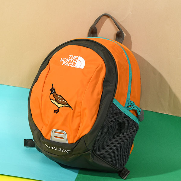 ノースフェイス リュックサック キッズ THE NORTH FACE K Homeslice ホームスライス 8L 子供 ジュニア 遠足 動物 NMJ72361 2024春夏新色｜elephant｜05