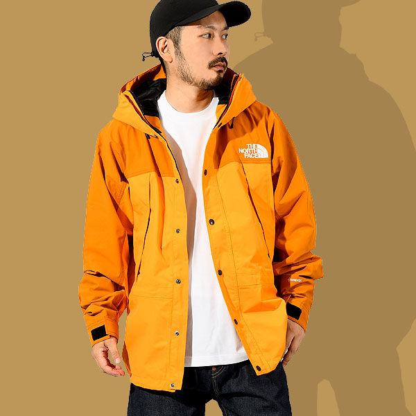 1/11限定価格】THE NORTH FACE マウンテンライトジャケット-