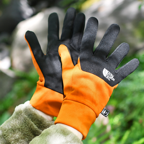 THE NORTH FACE（ザ ノースフェイス） ネコポス発送！ノースフェイス