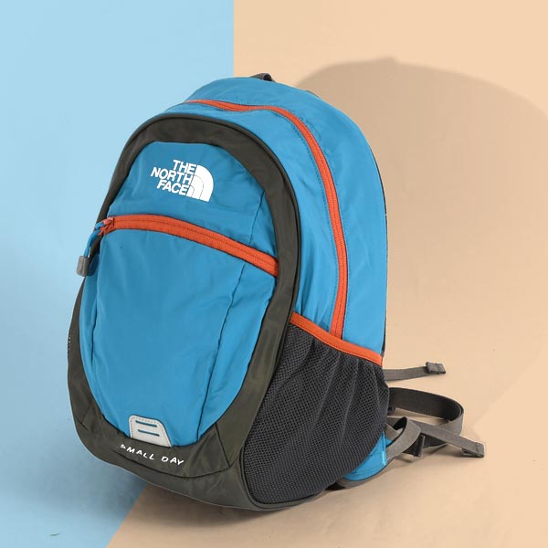 ノースフェイス 子供 リュックサック キッズ THE NORTH FACE スモールデイ デイパック 15L レディース ジュニア バッグ  NMJ72360 2024秋冬新色 : tnf-ks-ba : エレファントSPORTS - 通販 - Yahoo!ショッピング