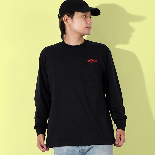 THE NORTH FACE（ザ ノースフェイス） ネコポス発送！ノースフェイス