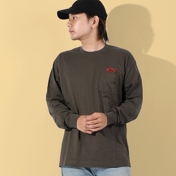 THE NORTH FACE（ザ ノースフェイス） ネコポス発送！ノースフェイス