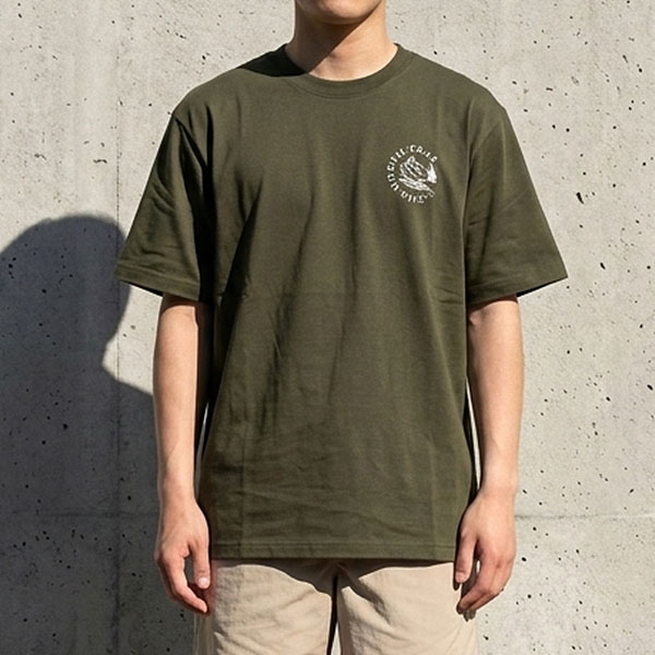 ネコポス発送！ 2026春夏新作 ノースフェイス 半袖Tシャツ メンズ 吸汗速乾 綿100％ 生地厚 THE NORTH FACE ホリディ キャンプ ティー NT32660の画像