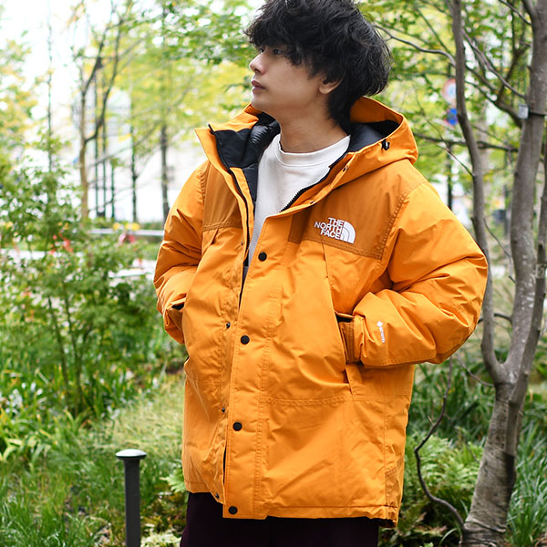 ノースフェイス 高品質 GORE-TEX マウンテン ダウン ジャケット メンズ レディース 防水 THE NORTH FACE ゴアテックス  ND92454 2024秋冬新作 : tnf-mdj : エレファントSPORTS - 通販 - Yahoo!ショッピング