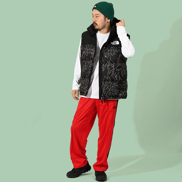 THE NORTH FACE ノースフェイス 柄物 ダウン ベスト ジャケット