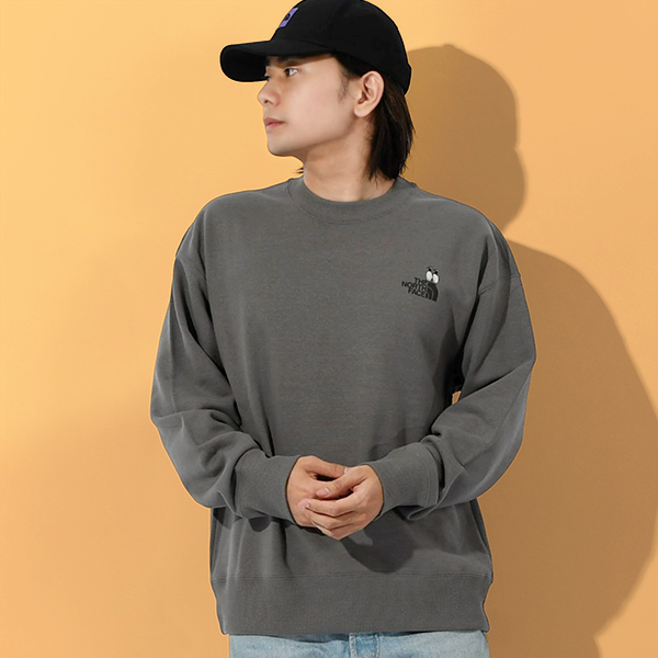 THE NORTH FACE（ザ ノースフェイス） 2026春夏新作 空飛ぶペンギン