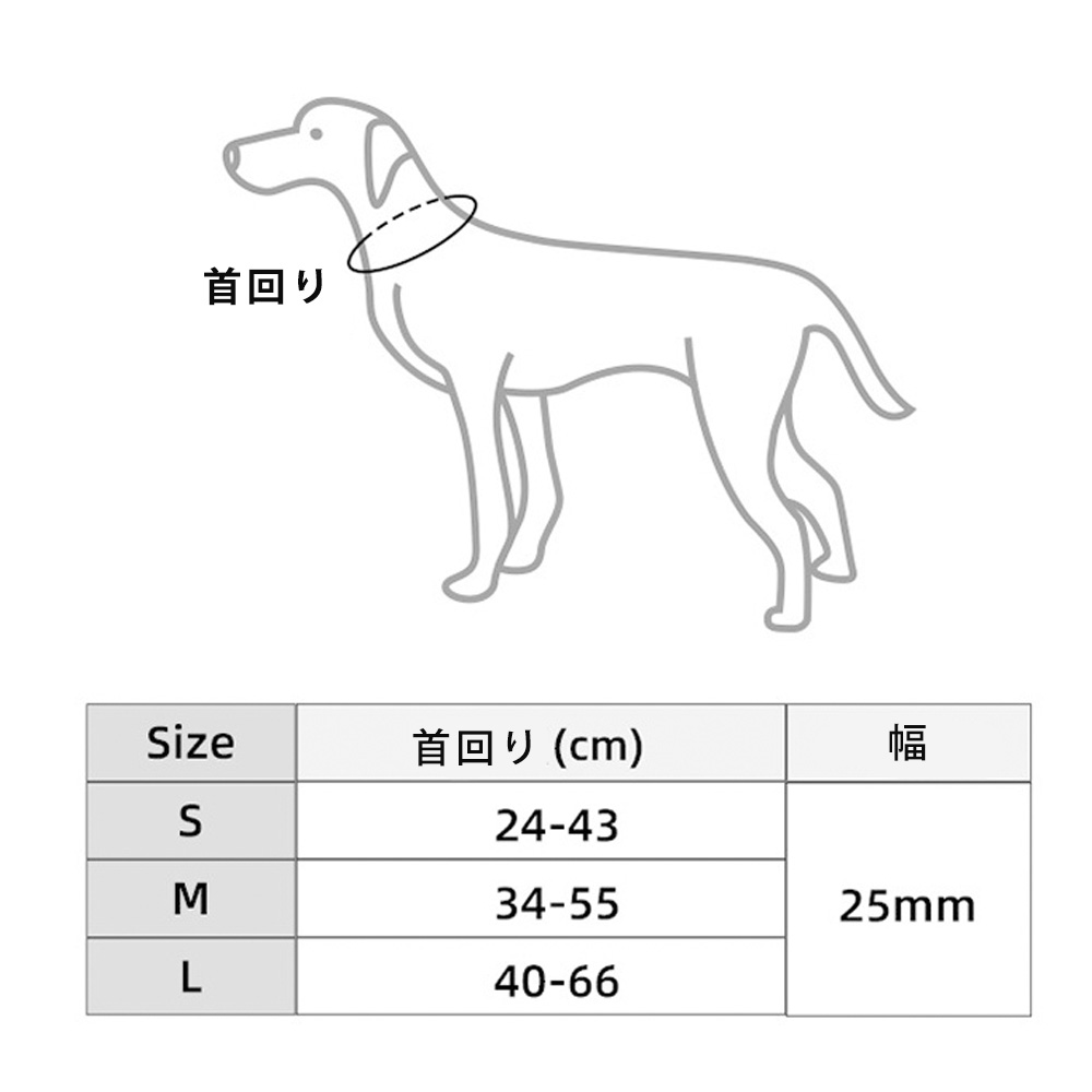 ペット 首輪 犬 カラフル シンプル 小型犬 中型犬 大型犬 ネコポス送料無料