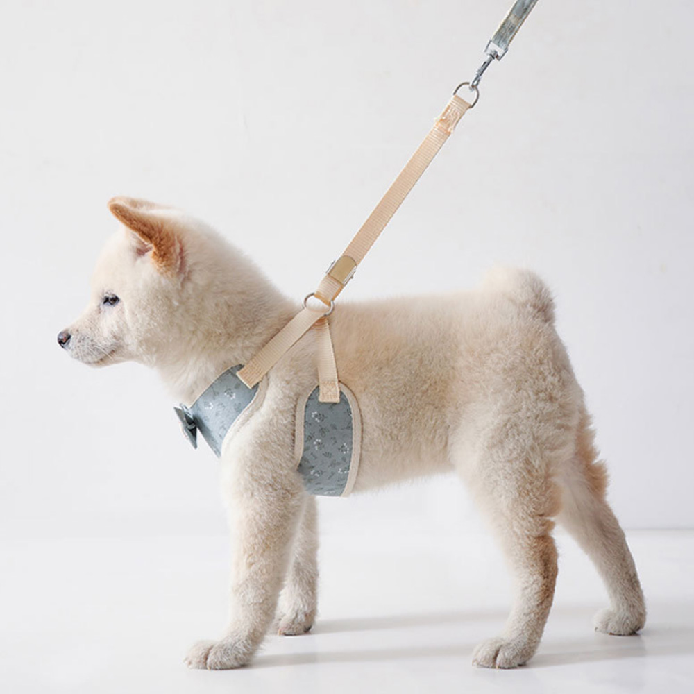 ハーネス リード セット 犬 猫 ハーネスリード 胴輪 犬用 ドッグ