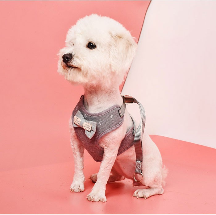 ハーネス リード セット 犬用 胴輪 犬 小型犬 ドッグ ハーネスリード