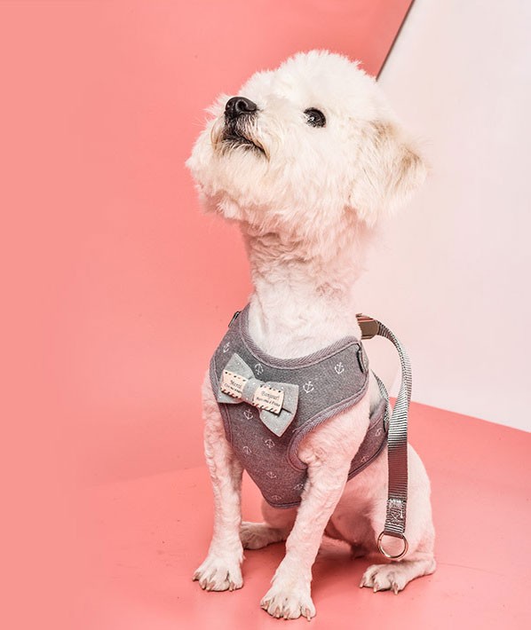 ハーネス リード セット 犬用 胴輪 犬 小型犬 ドッグ ハーネスリード