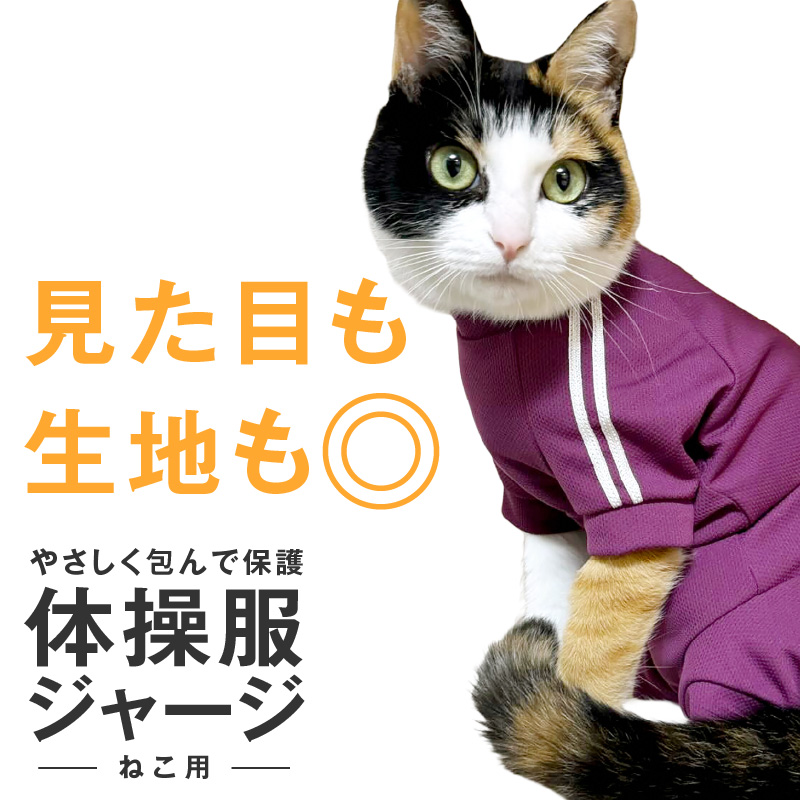三毛猫　オーダー一時停止中様確認専用ページ❷ Calico cat 三毛猫】 三毛猫ちゃん好きな方からのオーダー