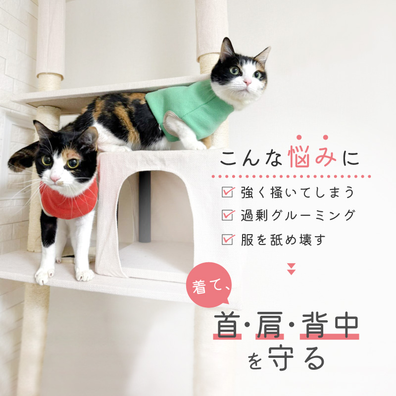 full of vigor（フルオブビガー） 皮膚病 舐め対策 傷舐め かきむしり