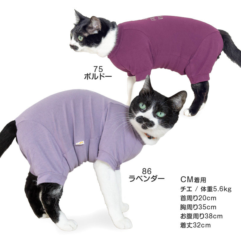 抜け毛対策 長袖 ロンパース【送料込】 猫用 伸びて 着せやすい バラエティ プリント 長袖 つなぎ 猫 服  過剰グルーミング 高齢 | full of vigor | 10