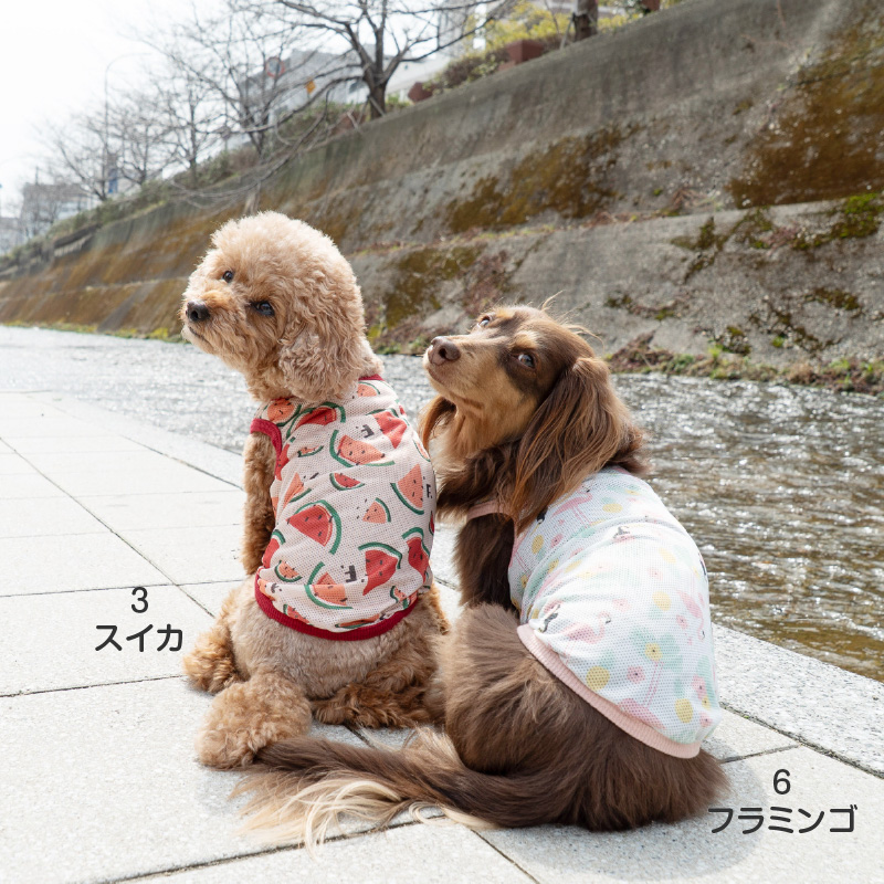 抜け毛対策  タンクトップ 【送料込】 バラエティ 柄 接触冷感 メッシュ タンク ダックス 小型犬用 犬 服 夏 春速乾 通気性 | full of vigor | 14