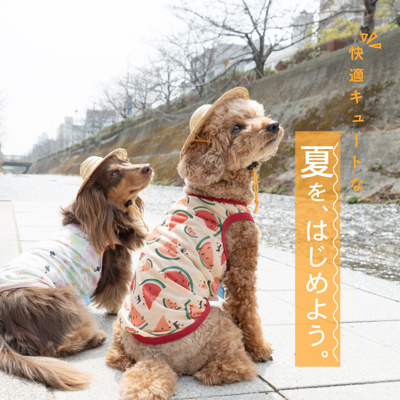 抜け毛対策  タンクトップ 【送料込】 バラエティ 柄 接触冷感 メッシュ タンク ダックス 小型犬用 犬 服 夏 春速乾 通気性 | full of vigor | 01