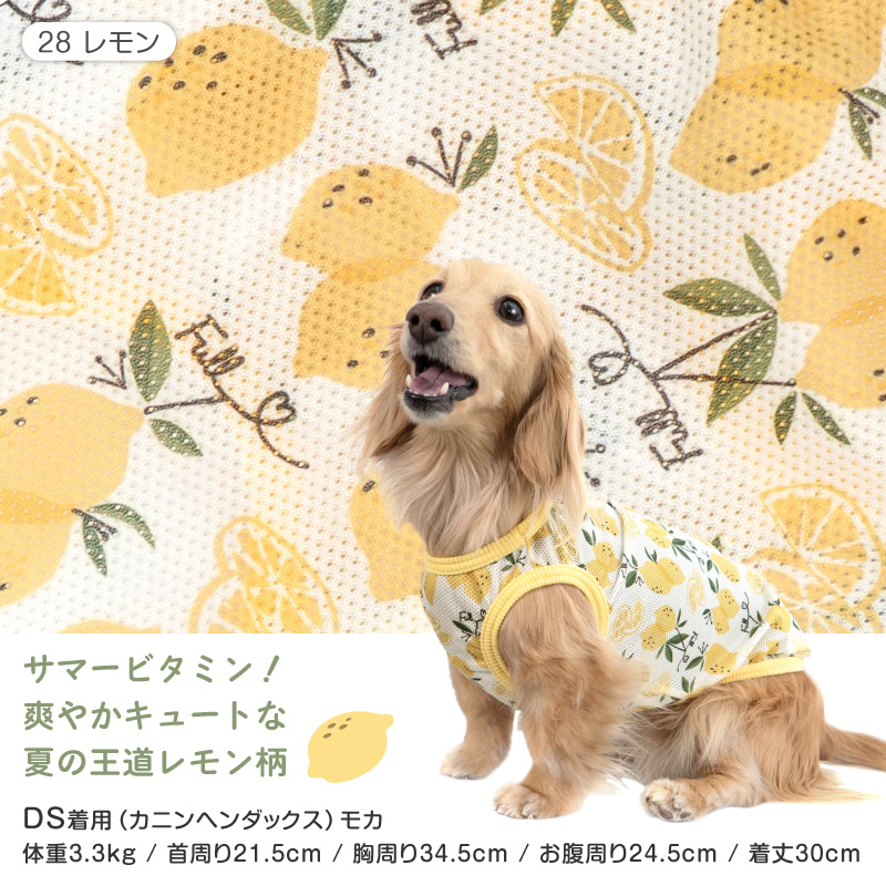 抜け毛対策  タンクトップ 【送料込】 バラエティ 柄 接触冷感 メッシュ タンク ダックス 小型犬用 犬 服 夏 春速乾 通気性 | full of vigor | 08