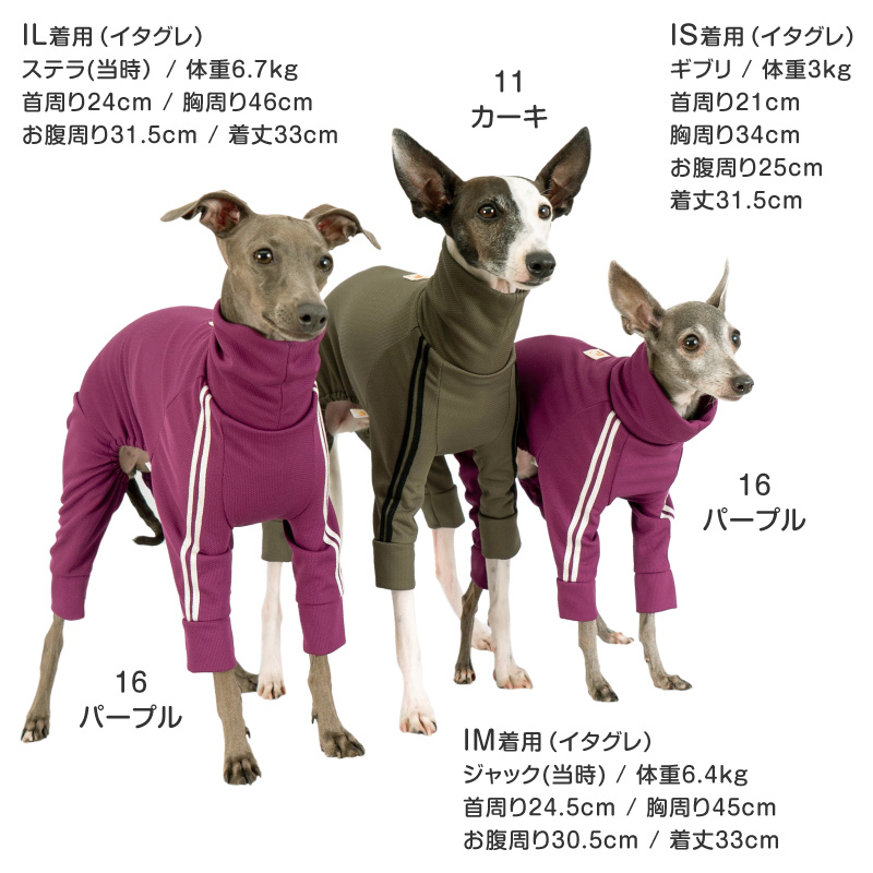 イタグレ 服（犬種：ポメラニアン）の商品一覧 通販 - Yahoo!ショッピング