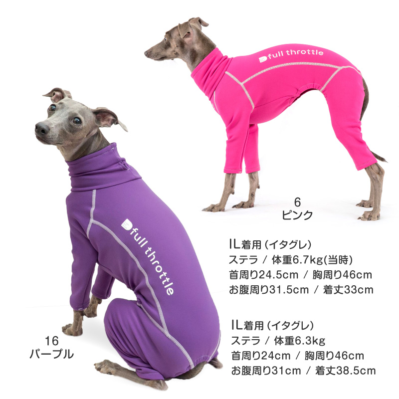 犬猫術後服エリザベスウエア専門店 - イタグレ用｜Yahoo!ショッピング