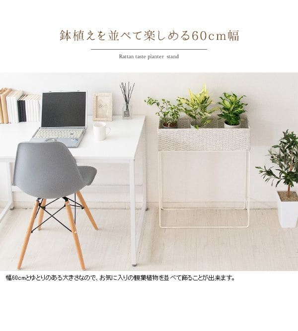 フラワースタンド 室内 白 プランタースタンド ラタン 玄関 幅60 花台