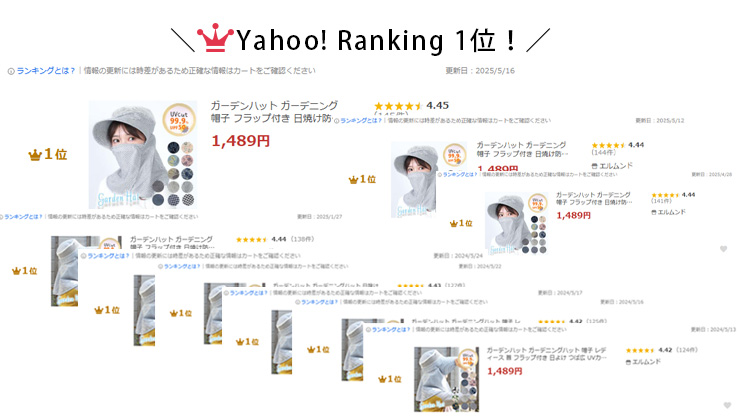 ランキング1位