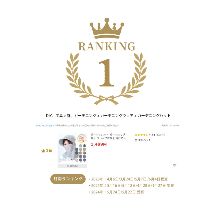 ランキング1位
