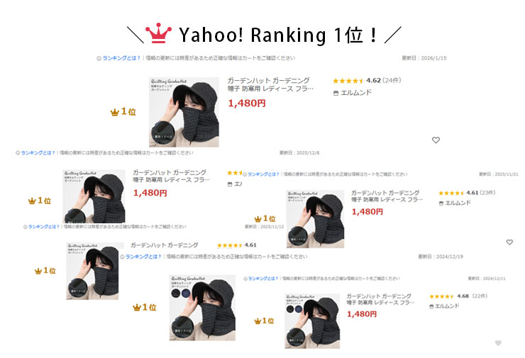 ランキング1位