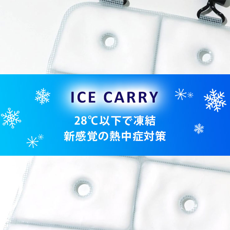 ICE CARRY(アイスキャリー) 見出し
