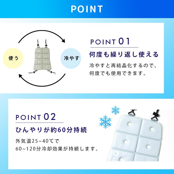 ICE CARRY(アイスキャリー)  ポイント１
