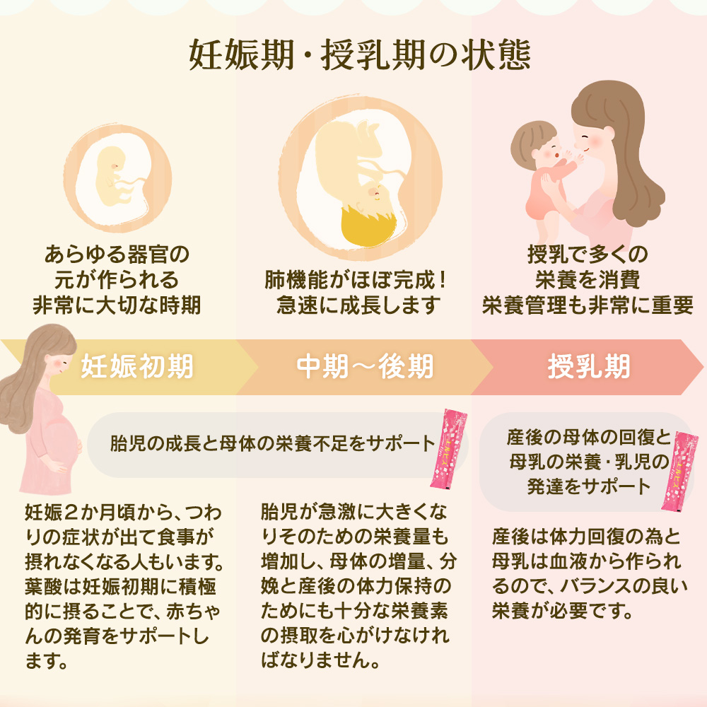 妊娠期・授乳期の状態