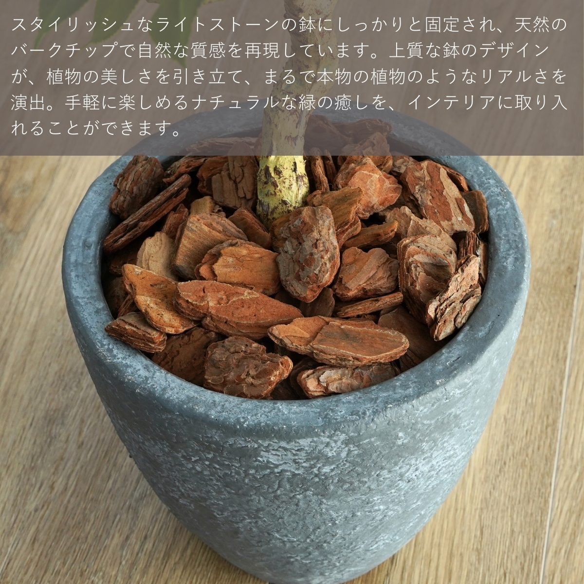 椿 鉢 椿 苗木 椿 盆栽 椿 鉢植え フェイクグリーン 60cm 光触媒 鉢付き おしゃれ 造花 インテリア リアル フェイクグリーン ミニ 消臭 抗菌 手入れ不要 卓上 |  | 05